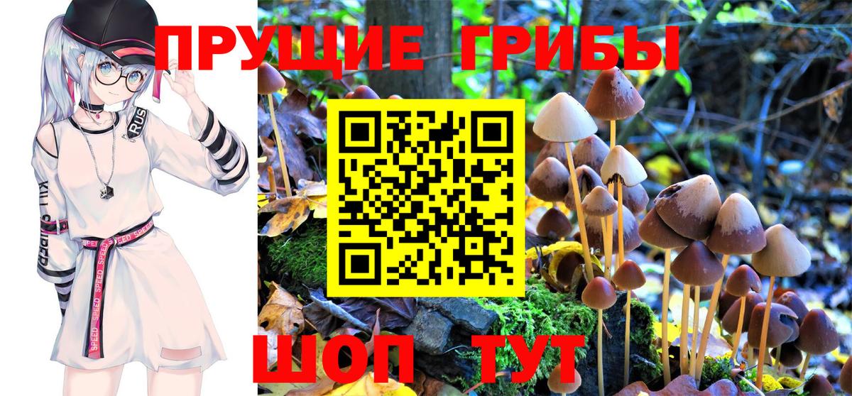 Псилоцибиновые грибы Magic Shrooms Усть-Джегута